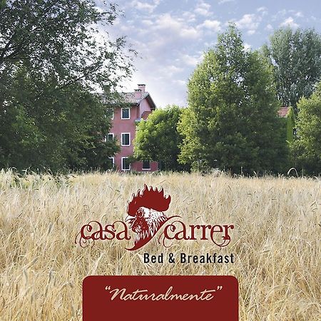Casa Carrer B&B San Giovanni di Livenza Luaran gambar